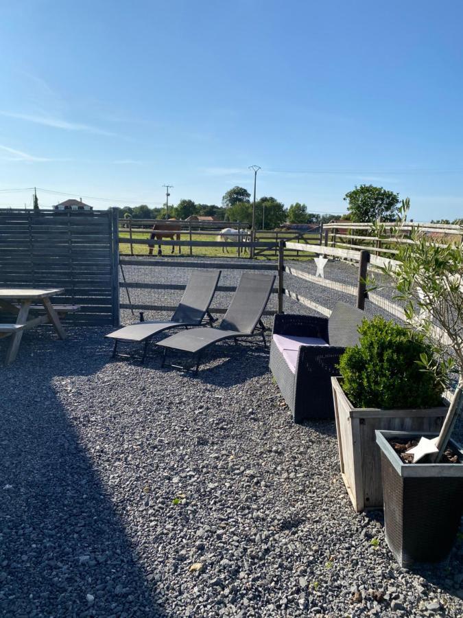 gite l'etoile de mer Eu (Seine-Maritime) Extérieur photo